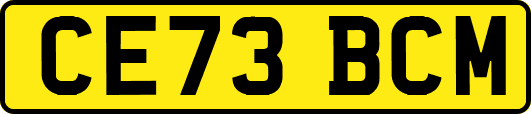 CE73BCM