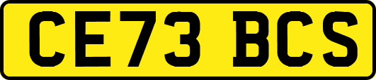 CE73BCS
