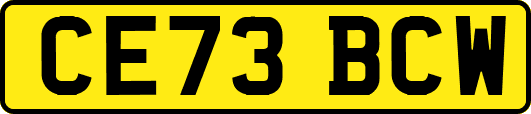CE73BCW