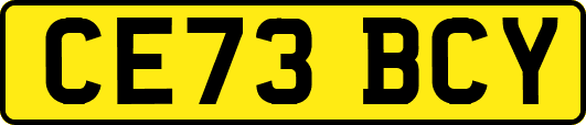 CE73BCY