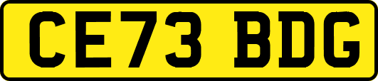 CE73BDG