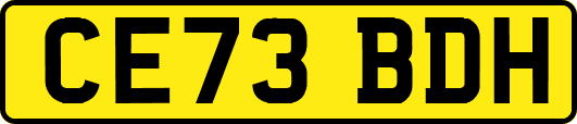 CE73BDH