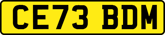 CE73BDM