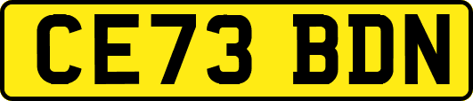 CE73BDN