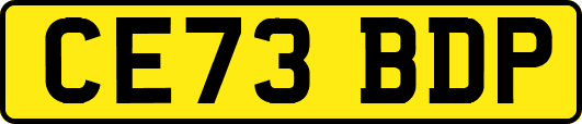 CE73BDP
