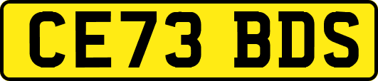CE73BDS