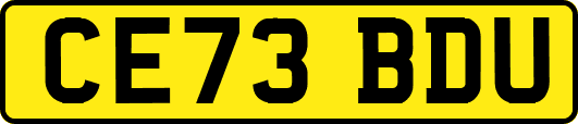 CE73BDU