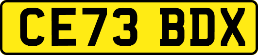 CE73BDX