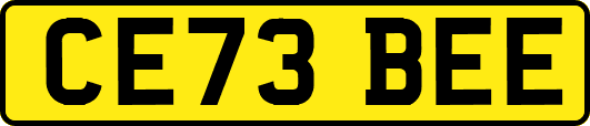 CE73BEE