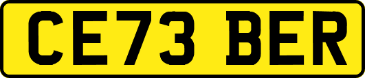 CE73BER