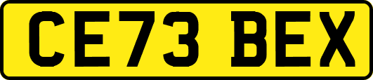 CE73BEX