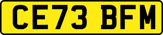 CE73BFM