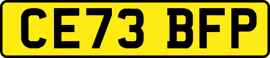 CE73BFP