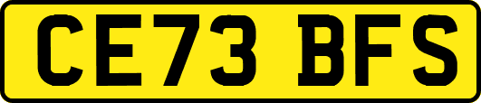 CE73BFS
