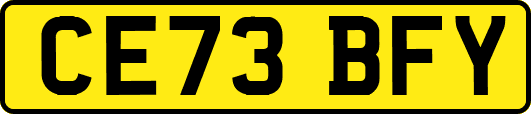 CE73BFY
