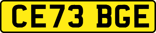 CE73BGE
