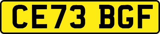 CE73BGF