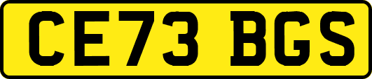 CE73BGS