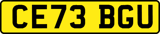 CE73BGU