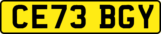 CE73BGY