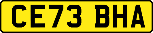 CE73BHA