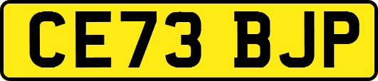 CE73BJP