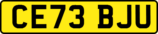 CE73BJU
