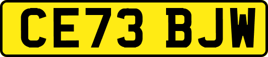 CE73BJW