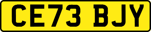 CE73BJY