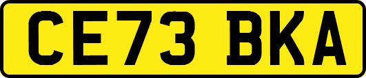 CE73BKA
