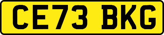 CE73BKG