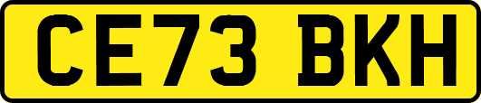 CE73BKH