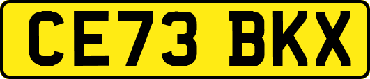 CE73BKX