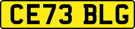CE73BLG