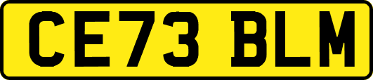 CE73BLM