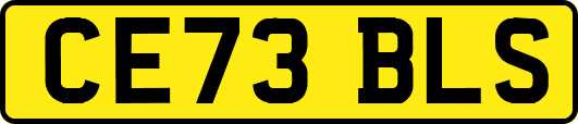 CE73BLS
