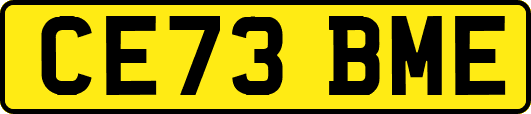 CE73BME