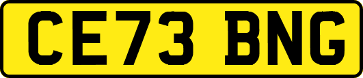 CE73BNG