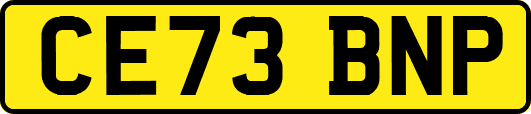 CE73BNP