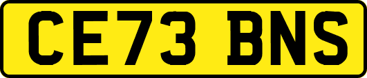 CE73BNS