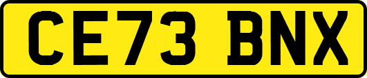CE73BNX