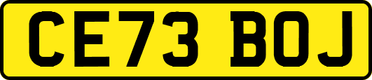 CE73BOJ
