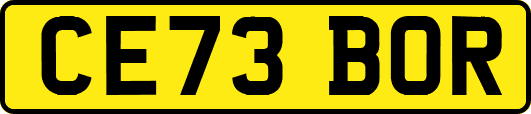 CE73BOR