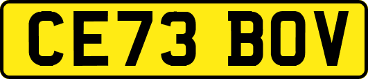 CE73BOV