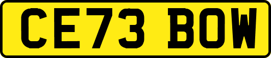 CE73BOW
