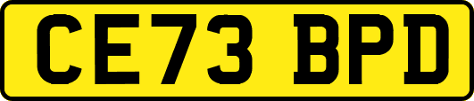 CE73BPD