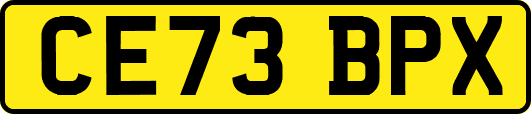CE73BPX