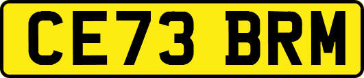 CE73BRM