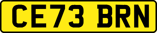 CE73BRN