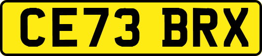 CE73BRX